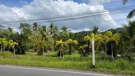 Land for sale in Bang Sai, Phang Nga