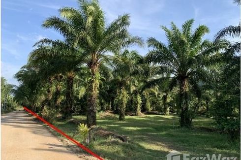 Land for sale in Bang Sai, Phang Nga