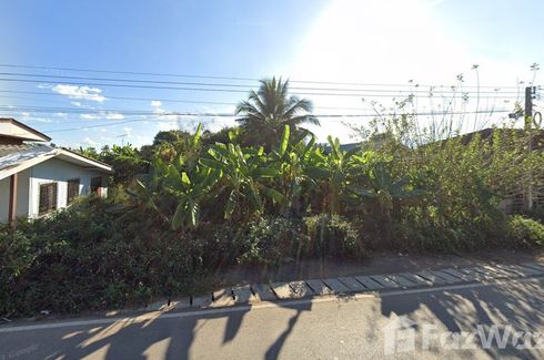 Land for sale in Chiang Dao, Chiang Mai