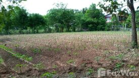 Land for sale in Song, Ubon Ratchathani