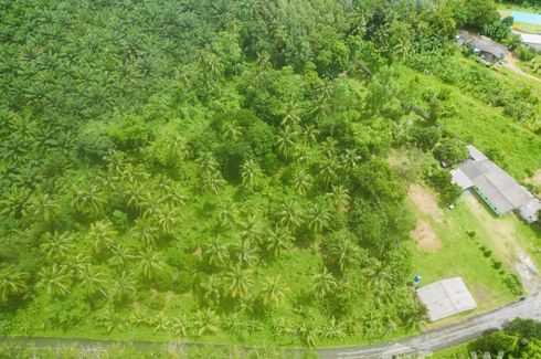 Land for sale in Bang Sai, Phang Nga