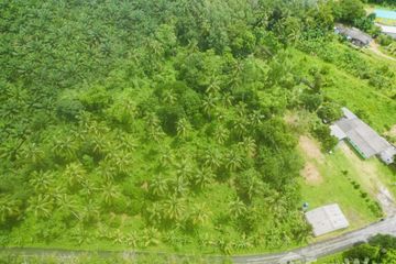 Land for sale in Bang Sai, Phang Nga