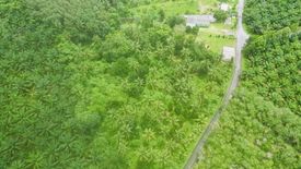 Land for sale in Bang Sai, Phang Nga