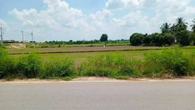 Land for sale in Suk Duean Ha, Chainat