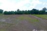 Land for sale in Suk Duean Ha, Chainat
