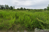 Land for sale in Phang Tru, Kanchanaburi