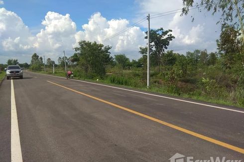 Land for sale in Sam Phrao, Udon Thani