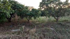 Land for sale in Thai Samakkhi, Nakhon Ratchasima