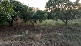 Land for sale in Thai Samakkhi, Nakhon Ratchasima