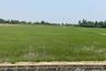 Land for sale in Ban Mai, Kanchanaburi