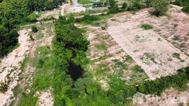 Land for sale in Wang Thong, Phitsanulok