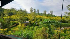 Land for sale in Soi, Phrae