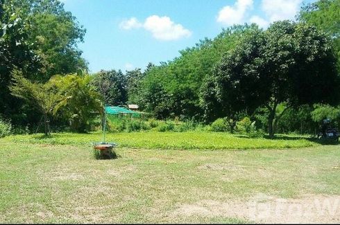 Land for sale in Phichai, Lampang