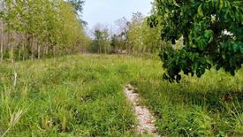 Land for sale in Phichai, Lampang