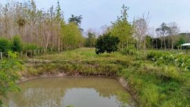 Land for sale in Phichai, Lampang