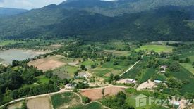 Land for sale in Nong Luang, Uthai Thani