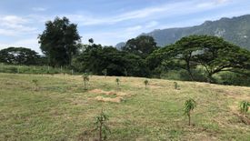 Land for sale in Phaya Yen, Nakhon Ratchasima