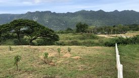 Land for sale in Phaya Yen, Nakhon Ratchasima