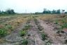 Land for sale in Suk Duean Ha, Chainat