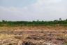 Land for sale in Suk Duean Ha, Chainat