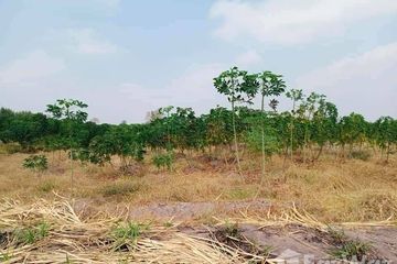 Land for sale in Suk Duean Ha, Chainat