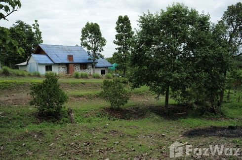 Land for sale in Mae Taeng, Chiang Mai