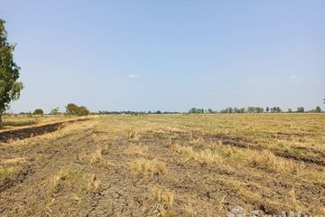 Land for sale in Phai Yai, Lopburi