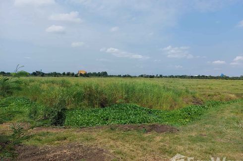 Land for sale in Nong Krabian, Lopburi