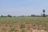 Land for sale in Suk Duean Ha, Chainat