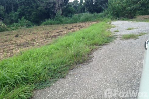 Land for sale in Mae Chedi Mai, Chiang Rai