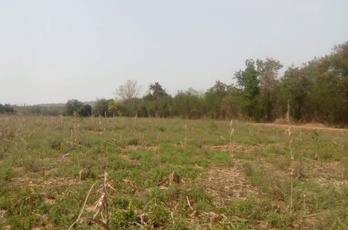 Land for sale in Lat Bua Khao, Nakhon Ratchasima