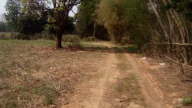 Land for sale in Lat Bua Khao, Nakhon Ratchasima