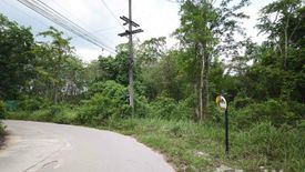 Land for sale in Sai Thai, Krabi