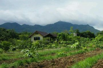 Land for sale in Klang Dong, Nakhon Ratchasima