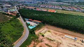 Land for sale in Bo Win, Chonburi