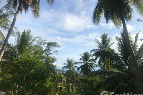 Land for sale in Ko Tao, Surat Thani