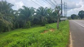 Land for sale in Krasom, Phang Nga