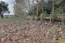 Land for sale in Nong Sarai, Nakhon Ratchasima