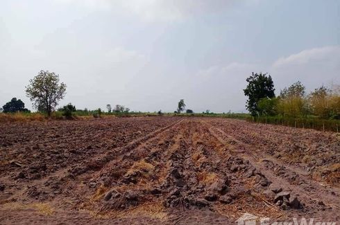 Land for sale in Suk Duean Ha, Chainat