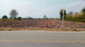 Land for sale in Suk Duean Ha, Chainat