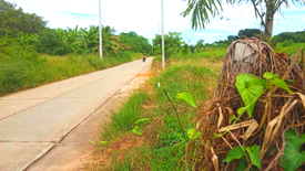 Land for sale in Mittraphap, Nakhon Ratchasima