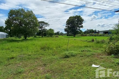 Land for sale in Don Wai, Nakhon Ratchasima