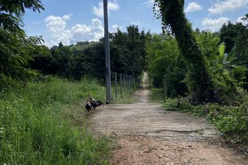 Land for sale in Mae Taeng, Chiang Mai