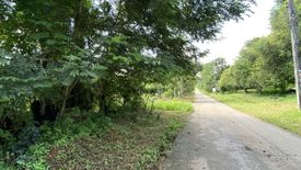 Land for sale in Mae Taeng, Chiang Mai