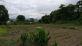 Land for sale in Chiang Dao, Chiang Mai