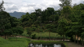 Land for sale in Chiang Dao, Chiang Mai