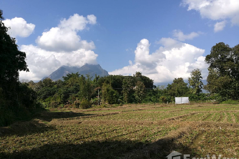 Land for sale in Chiang Dao, Chiang Mai