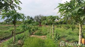 Land for sale in Nong Tum, Chaiyaphum