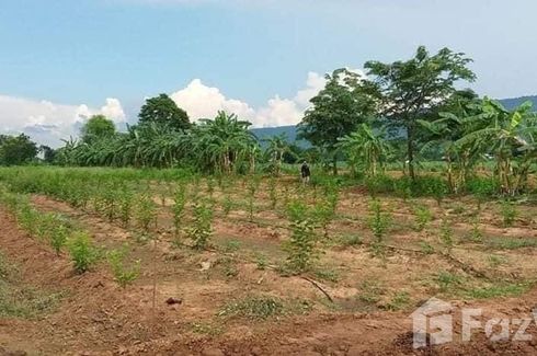 Land for sale in Nong Tum, Chaiyaphum