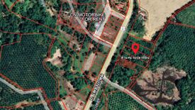 Land for sale in Bang Sai, Phang Nga